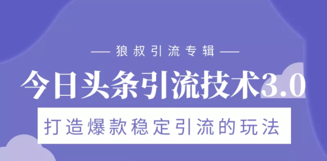 狼叔今日头条引流技术3.0，打造爆款稳定引流的玩法，VLOG引流技术-小伟资源网