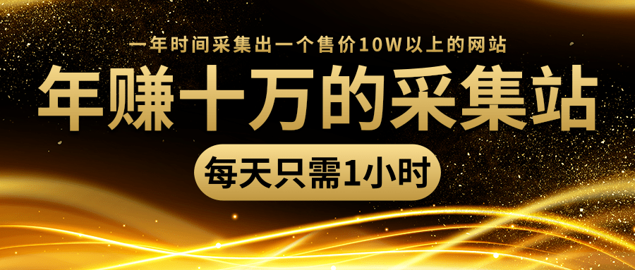 年赚十万的采集站，每天却只需要1小时，一年时间采集出一个售价10W以上的网站-小伟资源网