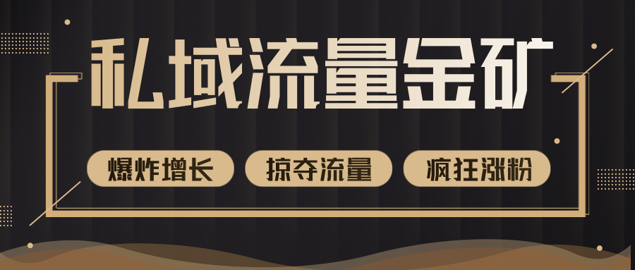 价值2200元私域流量的金矿，循环获取各大媒体精准流量，无限复制网红的精准流量！-小伟资源网