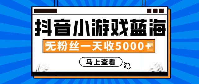 赚钱计划：抖音小游戏蓝海项目，无粉丝一天收入5000+-小伟资源网