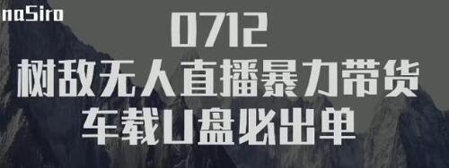 树敌‮习研‬社抖音无人直播暴力带货车载U盘必出单，单号单日产出300纯利润-小伟资源网