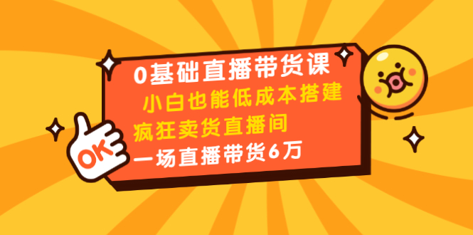 0基础直播带货课：小白也能低成本搭建疯狂卖货直播间：1场直播带货6万-小伟资源网