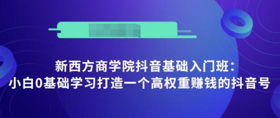 抖音基础入门班：小白0基础学习打造一个高权重赚钱的抖音号-小伟资源网