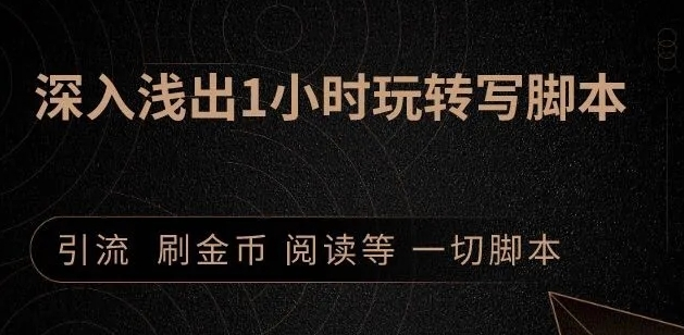 引流脚本实战课：1小时深入浅出视频实操讲解，教你0基础学会写引流脚本-小伟资源网