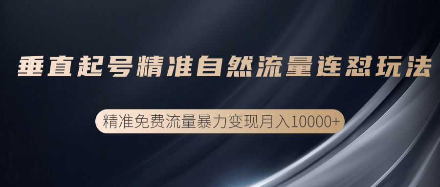 垂直起号精准自然流量连爆玩法，精准引流暴力变现月入10000+-小伟资源网