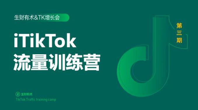 2020最新TikTok流量增长训练营（完结）附PPT-小伟资源网