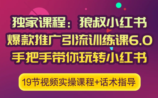 狼叔小红书爆款推广引流训练课6.0，手把手带你玩转小红书-小伟资源网