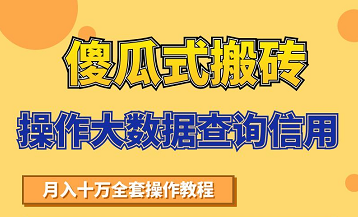 搬砖操作大数据查询信用项目赚钱教程，祝你快速月入6万-小伟资源网