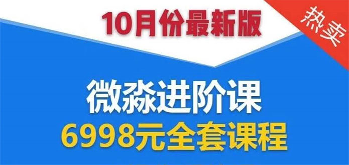 微淼理财进阶课全套视频：助你早点实现财务自由，理论学习+案例分析+实操-小伟资源网