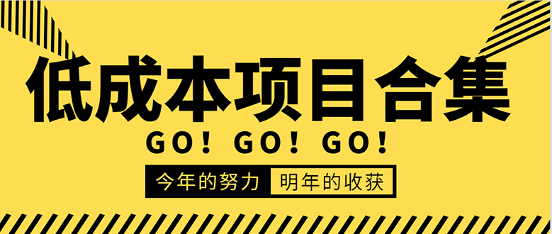 低成本零成本项目合集：赚钱快的慢的、暴利的，线上线下的，价值万元资料-小伟资源网