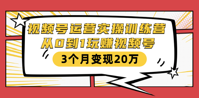 视频号运营实操训练营：从0到1玩赚视频号，3个月变现20万-小伟资源网