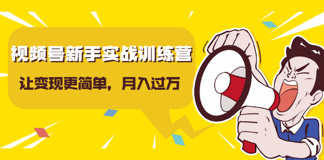 视频号新手实战训练营，让变现更简单，玩赚视频号，轻松月入过万-小伟资源网