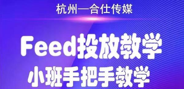 合仕传媒Feed投放教学，手把手教学，开车烧钱必须自己会-小伟资源网