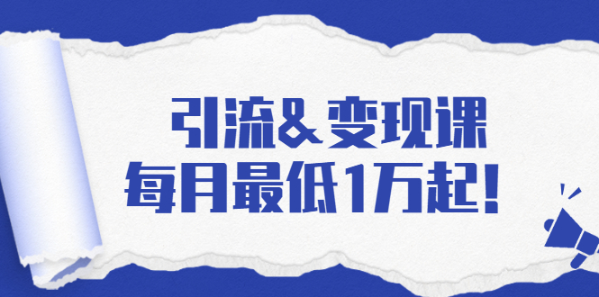 引流&变现课：分享一整套流量方法以及各个渠道收入，每月最低1万起！-小伟资源网