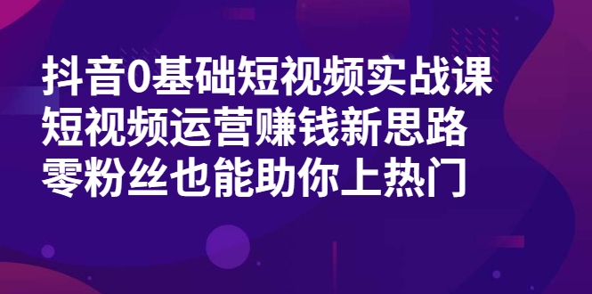 抖音0基础短视频实战课，短视频运营赚钱新思路，零粉丝也能助你上热门-小伟资源网