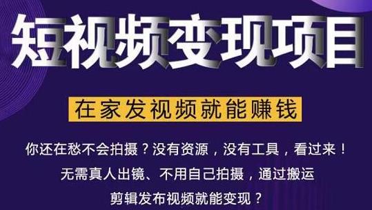 在家也能操作的短视频赚钱项目，无需真人，不用拍摄，纯搬运月入2到5万-小伟资源网