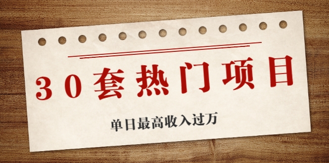 30套热门项目：单日最高收入过万 (网赚项目、朋友圈、涨粉套路、抖音、快手)等-小伟资源网