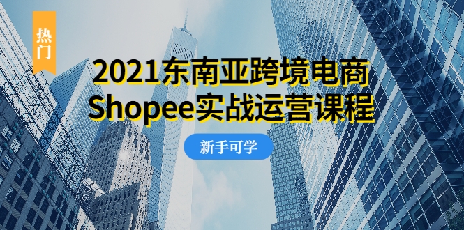 2021东南亚跨境电商Shopee实战运营课程，0基础、0经验、0投资的副业项目-小伟资源网