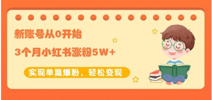 生财小红书涨粉变现：新账号从0开始3个月小红书涨粉5W+实现单篇爆粉-小伟资源网