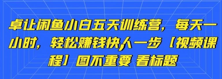 卓让闲鱼小白五天训练营，每天一小时，轻松赚钱快人一步-小伟资源网