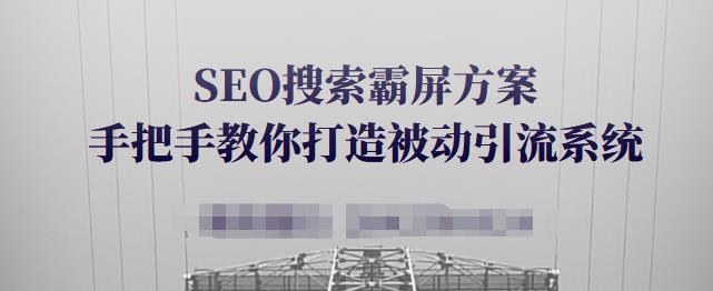 SEO搜索霸屏方案，手把手教你打造被动引流系统【视频课程】-小伟资源网