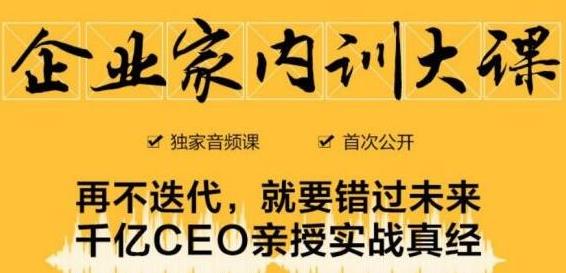 企业家内训大课，未来企业必学经验，价值1299元-小伟资源网