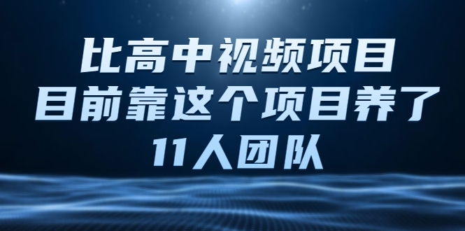 比高中视频项目，目前靠这个项目养了11人团队【视频课程】-小伟资源网