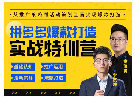 玺承云·拼多多爆款打造实战特训营，一套从入门到高手课程，让你快速拿捏拼多多-小伟资源网