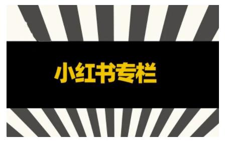 品牌医生·小红书全链营销干货，5个起盘案例，7个内容方向，n条避坑指南-小伟资源网