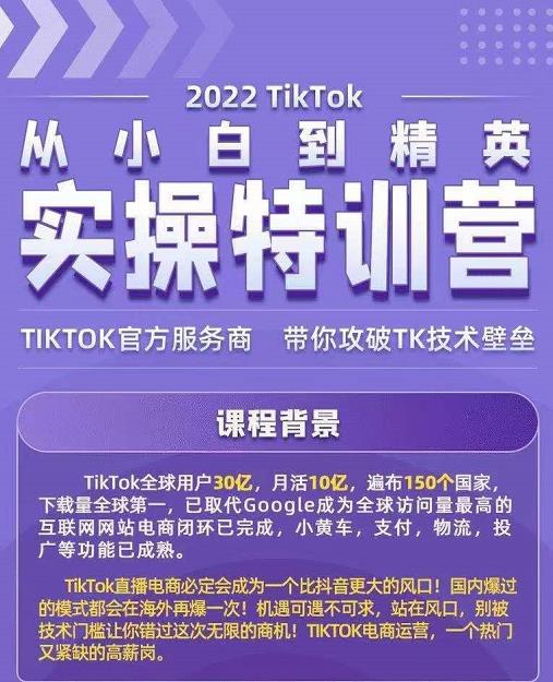 Seven漆·2022Tiktok从小白到精英实操特训营，带你掌握Tiktok账号运营-小伟资源网