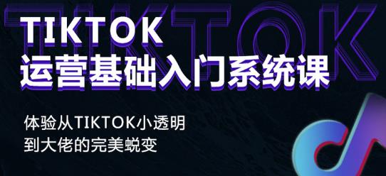 Tiktok实操进阶课程，体验从tiktok小透明到大佬的完美蜕变-小伟资源网