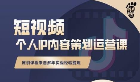 抖音短视频个人ip内容策划实操课，真正做到普通人也能实行落地-小伟资源网