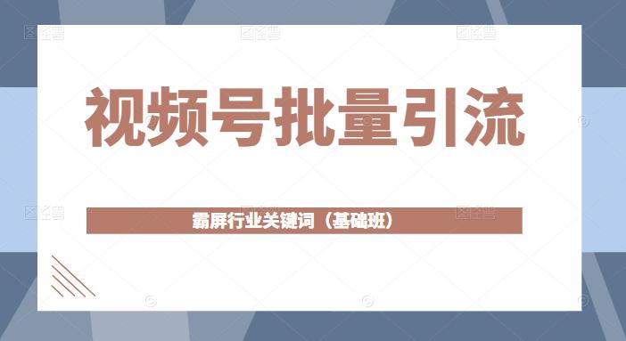 视频号批量引流，霸屏行业关键词（基础班）全面系统讲解视频号玩法-小伟资源网