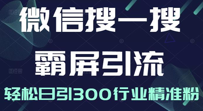 微信搜一搜霸屏引流课，打造被动精准引流系统，轻松日引300行业精准粉-小伟资源网