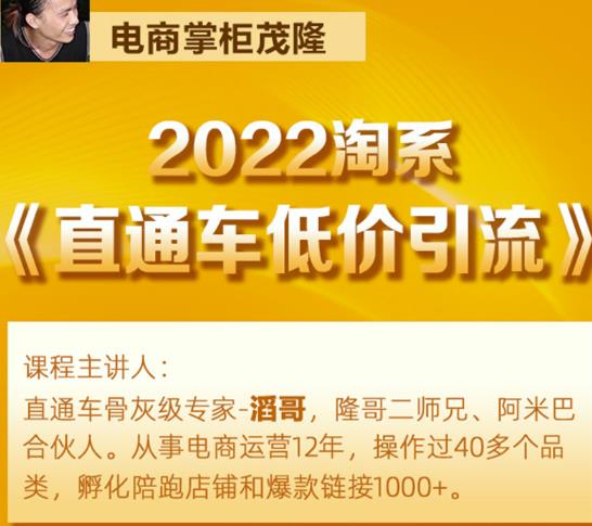 茂隆2022直通车低价引流玩法，教大家如何低投入高回报的直通车玩法-小伟资源网