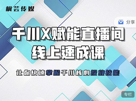 枫芸传媒-线上千川提升课，提升千川认知，提升千川投放效果-小伟资源网