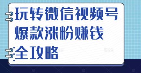 玩转微信视频号爆款涨粉赚钱全攻略，让你快速抓住流量风口，收获红利财富-小伟资源网