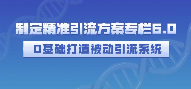 制定精准引流方案专栏6.0，0基础打造被动引流系统-小伟资源网