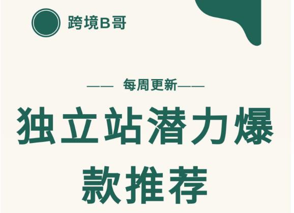 【跨境B哥】独立站潜力爆款选品推荐，测款出单率高达百分之80-小伟资源网