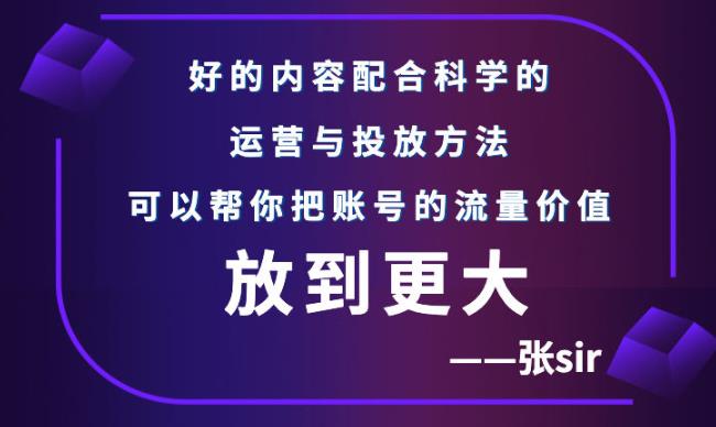 张sir账号流量增长课，告别海王流量，让你的流量更精准-小伟资源网