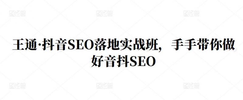 王通·抖音SEO落地实战班，手‬手带你做好音抖‬‬SEO-小伟资源网