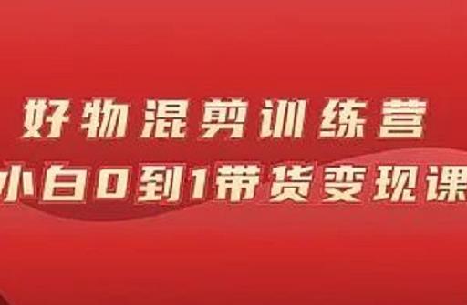 万三好物混剪训练营：小白0到1带货变现课-小伟资源网