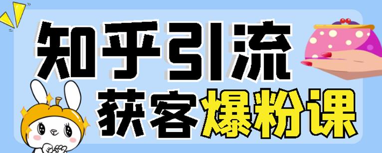 2022船长知乎引流+无脑爆粉技术：每一篇都是爆款，不吹牛，引流效果杠杠的-小伟资源网