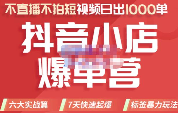 推易电商·2022年抖音小店爆单营，不直播、不拍短视频、日出1000单，暴力玩法-小伟资源网