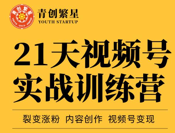 张萌21天视频号实战训练营，裂变涨粉、内容创作、视频号变现 价值298元-小伟资源网