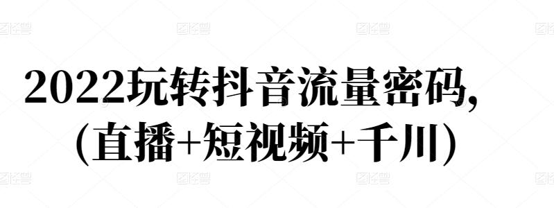 2022玩转抖音流量密码，(直播+短视频+千川)-小伟资源网