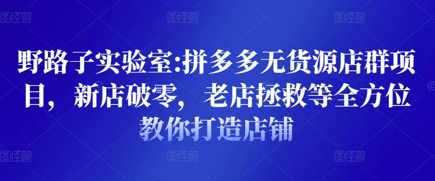 野路子实验室:拼多多无货源店群项目，新店破零，老店拯救等全方位教你打造店铺-小伟资源网