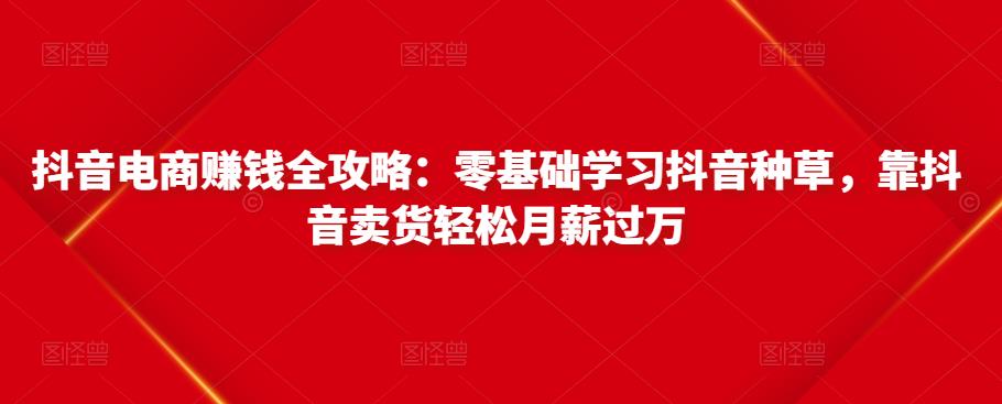 抖音电商赚钱全攻略：零基础学习抖音种草，靠抖音卖货轻松月薪过万-小伟资源网