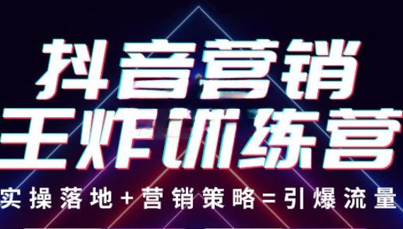 抖音营销王炸训练营，实操落地+营销策略=引爆流量（价值8960元）-小伟资源网