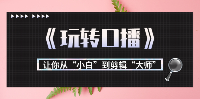 月营业额700万+大佬教您《玩转口播》让你从“小白”到剪辑“大师”-小伟资源网